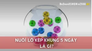 Nuôi lô kép khung 5 ngày là gì?