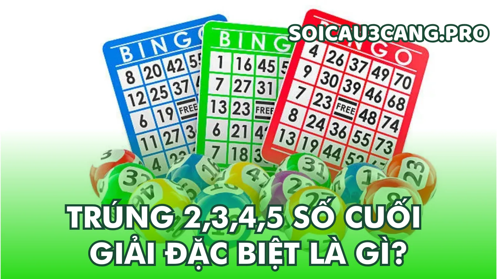 Tìm Hiểu Bản Chất Xổ Số Truyền Thống Và Cơ Cấu 3 Miền Tìm Hiểu Bản Chất Xổ Số Truyền Thống Và Cơ Cấu 3 Miền